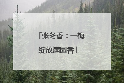 张冬香：一梅绽放满园香