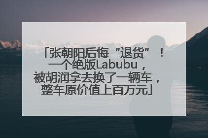 张朝阳后悔“退货”！一个绝版Labubu，被胡润拿去换了一辆车，整车原价值上百万元