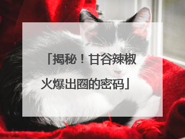 揭秘！甘谷辣椒火爆出圈的密码
