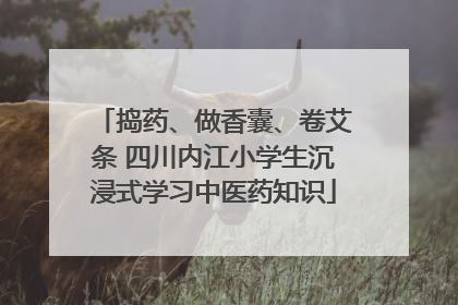 捣药、做香囊、卷艾条 四川内江小学生沉浸式学习中医药知识