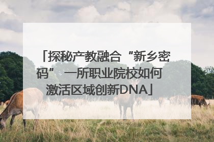 探秘产教融合“新乡密码” 一所职业院校如何激活区域创新DNA