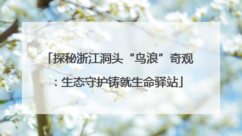 探秘浙江洞头“鸟浪”奇观：生态守护铸就生命驿站