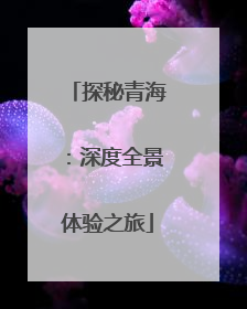 探秘青海：深度全景体验之旅