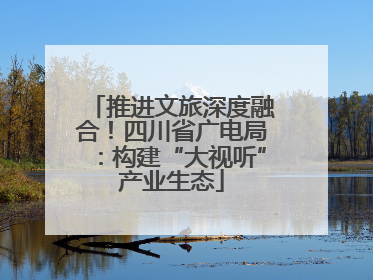 推进文旅深度融合！四川省广电局：构建“大视听”产业生态