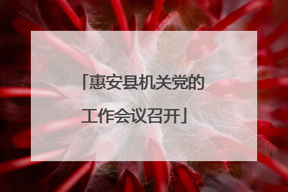 惠安县机关党的工作会议召开