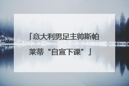 意大利男足主帅斯帕莱蒂“自宣下课”