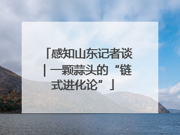 感知山东记者谈｜一颗蒜头的“链式进化论”