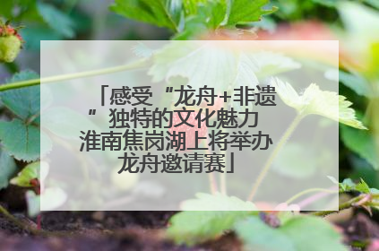 感受“龙舟+非遗”独特的文化魅力 淮南焦岗湖上将举办龙舟邀请赛