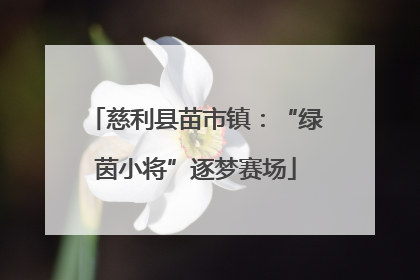 慈利县苗市镇：“绿茵小将”逐梦赛场