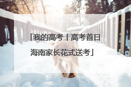 我的高考丨高考首日 海南家长花式送考