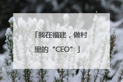 我在福建，做村里的“CEO”