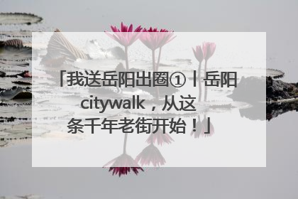 我送岳阳出圈①丨岳阳citywalk，从这条千年老街开始！
