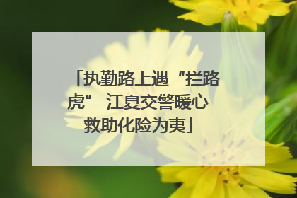 执勤路上遇“拦路虎” 江夏交警暖心救助化险为夷