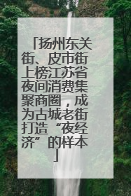 扬州东关街、皮市街上榜江苏省夜间消费集聚商圈，成为古城老街打造“夜经济”的样本