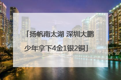 扬帆南太湖 深圳大鹏少年拿下4金1银2铜