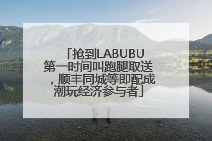 抢到LABUBU第一时间叫跑腿取送，顺丰同城等即配成潮玩经济参与者
