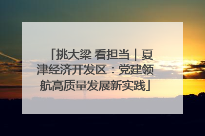 挑大梁 看担当｜夏津经济开发区：党建领航高质量发展新实践