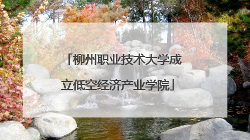 柳州职业技术大学成立低空经济产业学院