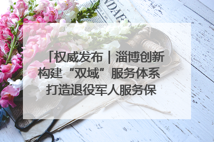 权威发布｜淄博创新构建“双域”服务体系 打造退役军人服务保障“淄博样板”