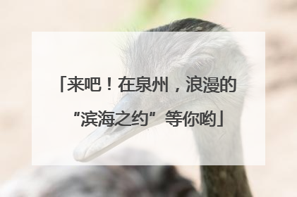 来吧！在泉州，浪漫的“滨海之约”等你哟