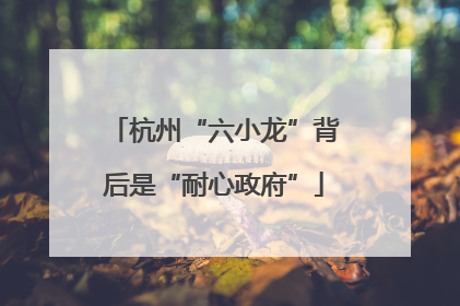 杭州“六小龙”背后是“耐心政府”