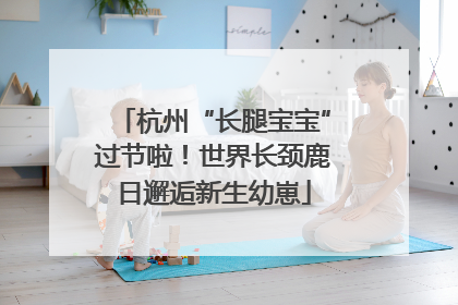 杭州“长腿宝宝”过节啦！世界长颈鹿日邂逅新生幼崽