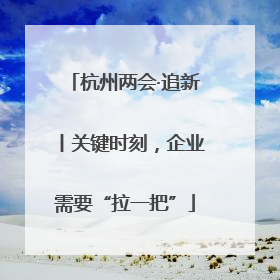 杭州两会·追新丨关键时刻，企业需要“拉一把”