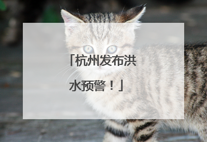 杭州发布洪水预警！