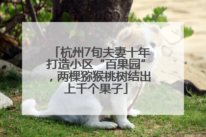 杭州7旬夫妻十年打造小区“百果园”，两棵猕猴桃树结出上千个果子