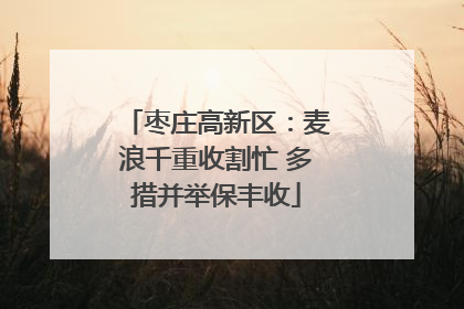 枣庄高新区：麦浪千重收割忙 多措并举保丰收