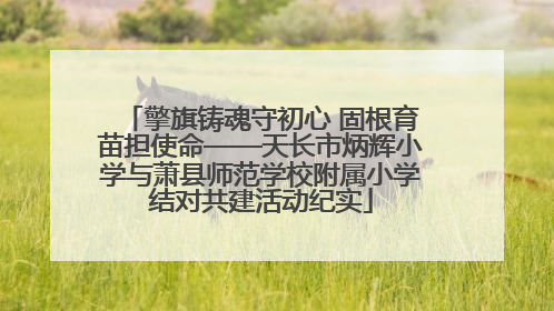 擎旗铸魂守初心 固根育苗担使命——天长市炳辉小学与萧县师范学校附属小学结对共建活动纪实