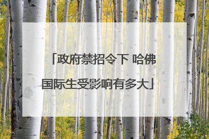 政府禁招令下 哈佛国际生受影响有多大