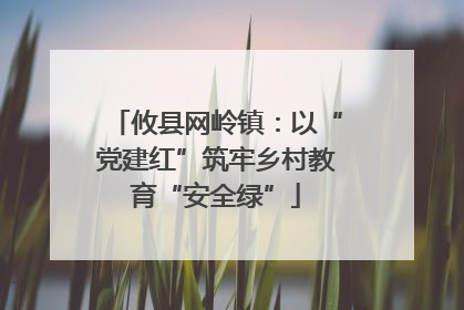 攸县网岭镇：以“党建红”筑牢乡村教育“安全绿”