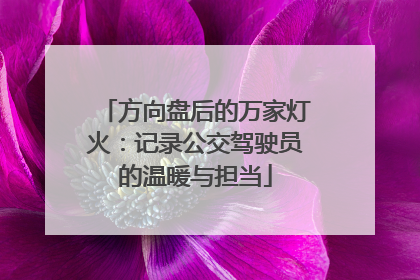 方向盘后的万家灯火：记录公交驾驶员的温暖与担当