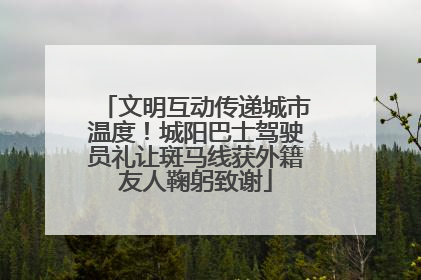 文明互动传递城市温度！城阳巴士驾驶员礼让斑马线获外籍友人鞠躬致谢