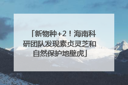 新物种+2！海南科研团队发现素贞灵芝和自然保护地壁虎