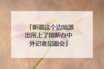 新疆这个边境派出所上了国新办中外记者见面会