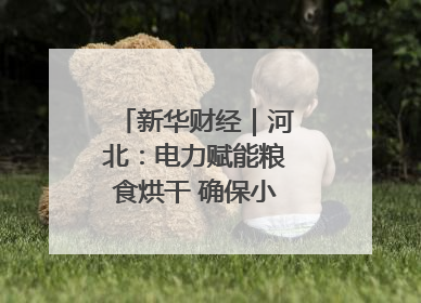 新华财经｜河北：电力赋能粮食烘干 确保小麦高质量归仓