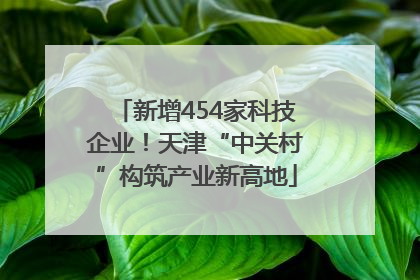 新增454家科技企业！天津“中关村”构筑产业新高地