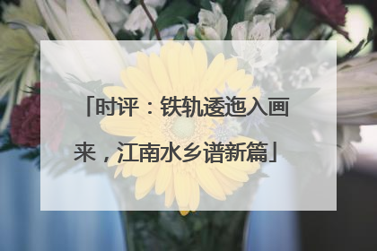 时评：铁轨逶迤入画来，江南水乡谱新篇