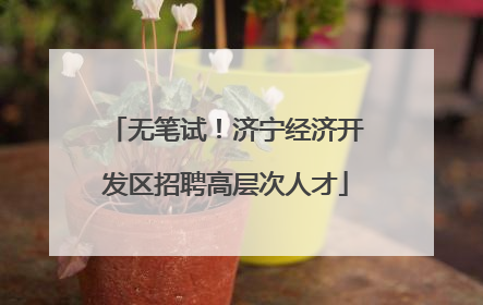 无笔试！济宁经济开发区招聘高层次人才