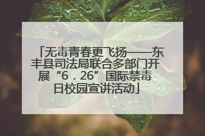 无毒青春更飞扬——东丰县司法局联合多部门开展“6．26”国际禁毒日校园宣讲活动