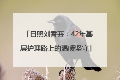 日照刘香芬：42年基层护理路上的温暖坚守