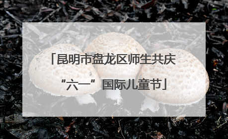 昆明市盘龙区师生共庆“六一”国际儿童节