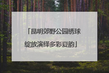 昆明郊野公园绣球绽放演绎多彩夏韵
