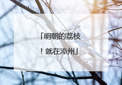 明朝的荔枝！就在漳州