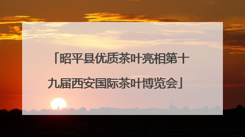 昭平县优质茶叶亮相第十九届西安国际茶叶博览会