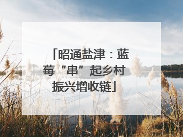 昭通盐津：蓝莓“串”起乡村振兴增收链