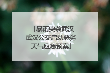 暴雨突袭武汉 武汉公交启动恶劣天气应急预案