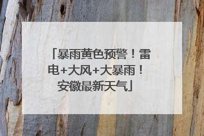 暴雨黄色预警！雷电+大风+大暴雨！安徽最新天气